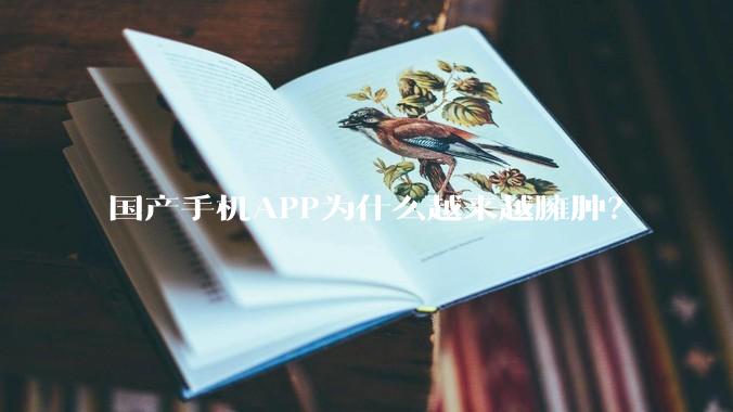 国产手机APP为什么越来越臃肿？